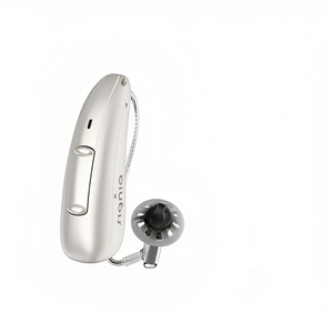 Signia Pure Charge & GO T AX - HearMore4Less