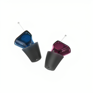 Signia سيلك IX Charge&Go Cros - HearMore4Less